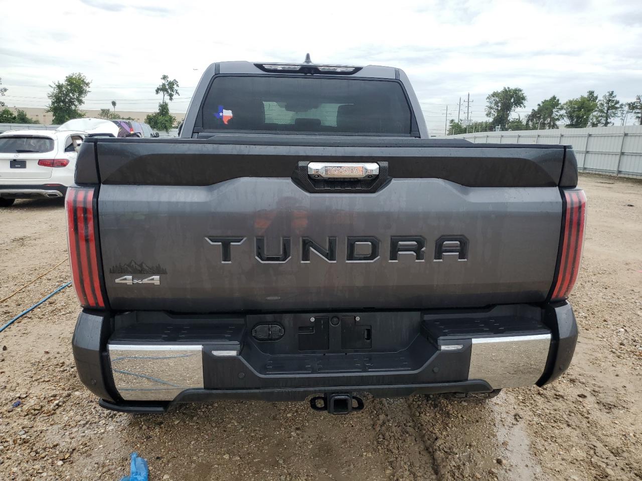 2023 TOYOTA TUNDRA CREWMAX PLATINUM VIN:5TFMA5DBXPX101300