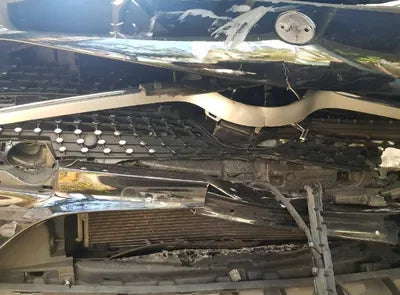 2019 Mercedes-Benz CLS 300 VIN: