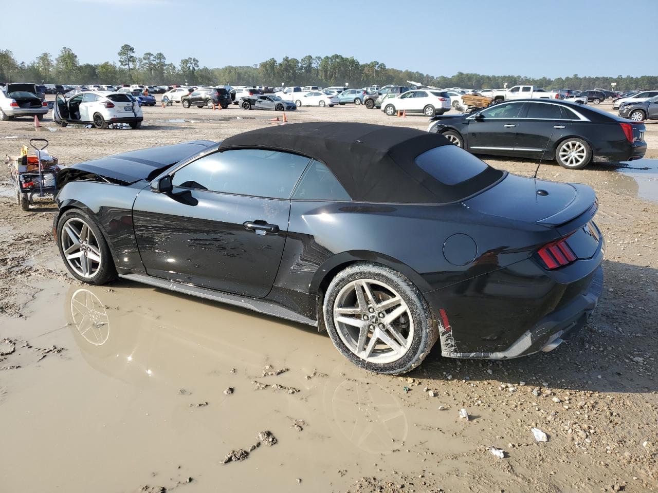2024 FORD MUSTANG  VIN:1FAGP8UH7R5126886