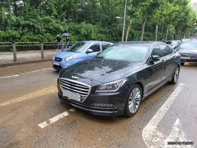 2016 acupuncture nessis 3.3 VIN: