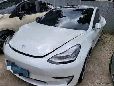 2020 Tesla Model 3 5YJ3E1EAXLF756513 VIN:5YJ3E1EAXLF756513