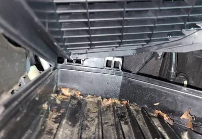 2020 Mercedes-Benz S 350 W1KUF2BB2LA558821 VIN:W1KUF2BB2LA558821