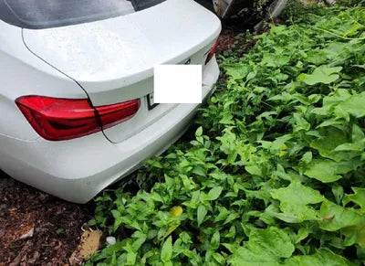 2017 BMW 320 WBA8C5109HA069892 VIN:WBA8C5109HA069892