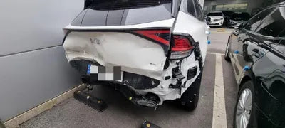 2022 Kia Sportage KNAPX81GBNK007922 VIN:KNAPX81GBNK007922
