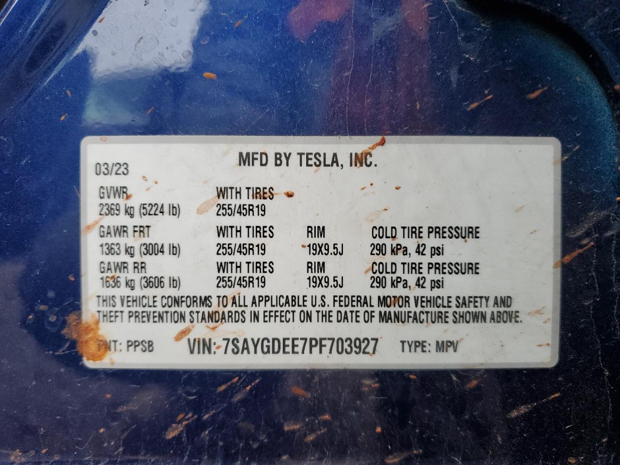 2023 TESLA MODEL Y  VIN:7SAYGDEE7PF703927