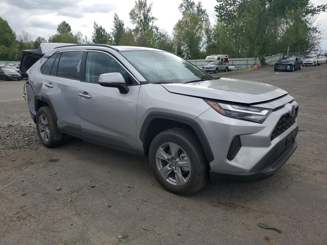 2024 TOYOTA RAV4 XLE VIN:4T3RWRFV5RU115845