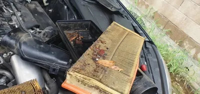 2016 Mercedes-Benz S 500 WDDUG8FB2GA247194 VIN:WDDUG8FB2GA247194