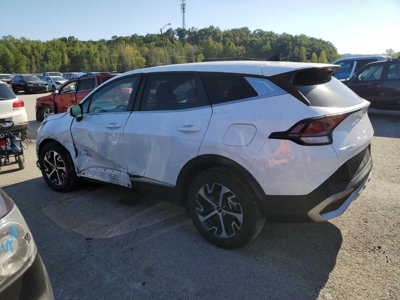 2023 KIA SPORTAGE EX VIN:5XYK33AF5PG137234