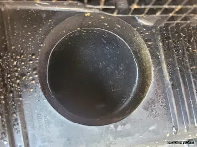 2019 Genesis G70 NONE VIN: