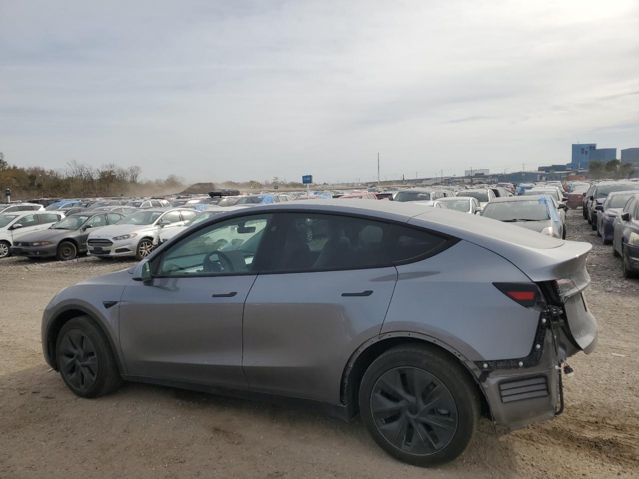 2024 TESLA MODEL Y  VIN:7SAYGAEE0RF168523