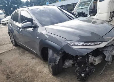 2019 Hyundai Kona KMHK381GFKU013222 VIN:KMHK381GFKU013222