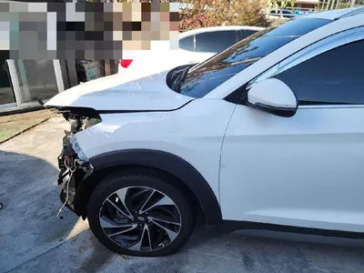 2019 Hyundai Tucson KMHJ5812GKU974503 VIN:KMHJ5812GKU974503