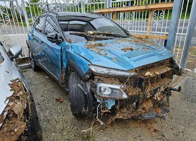 2019 Hyundai Kona KMHK7815GKU291067 VIN:KMHK7815GKU291067