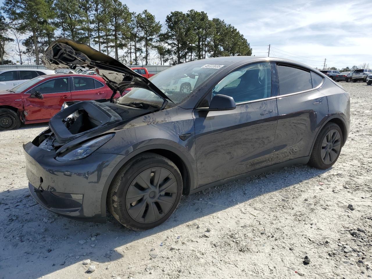 2024 TESLA MODEL Y  VIN:7SAYGDED8RF113441