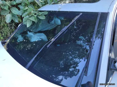 2016 Audi A6 WAUZZZ4G2GN120899 VIN:WAUZZZ4G2GN120899