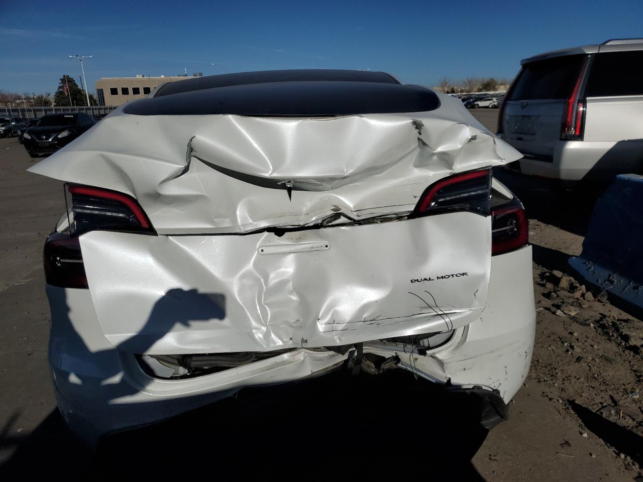2024 TESLA MODEL Y  VIN:7SAYGDEE9RA268098
