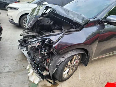 2019 Kia Sorento KNAPS81ABLA607195 VIN:KNAPS81ABLA607195
