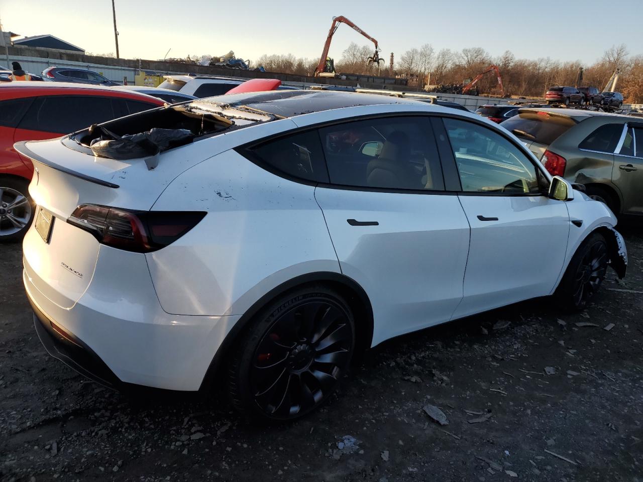 2024 TESLA MODEL Y  VIN:7SAYGDEF1RA261719