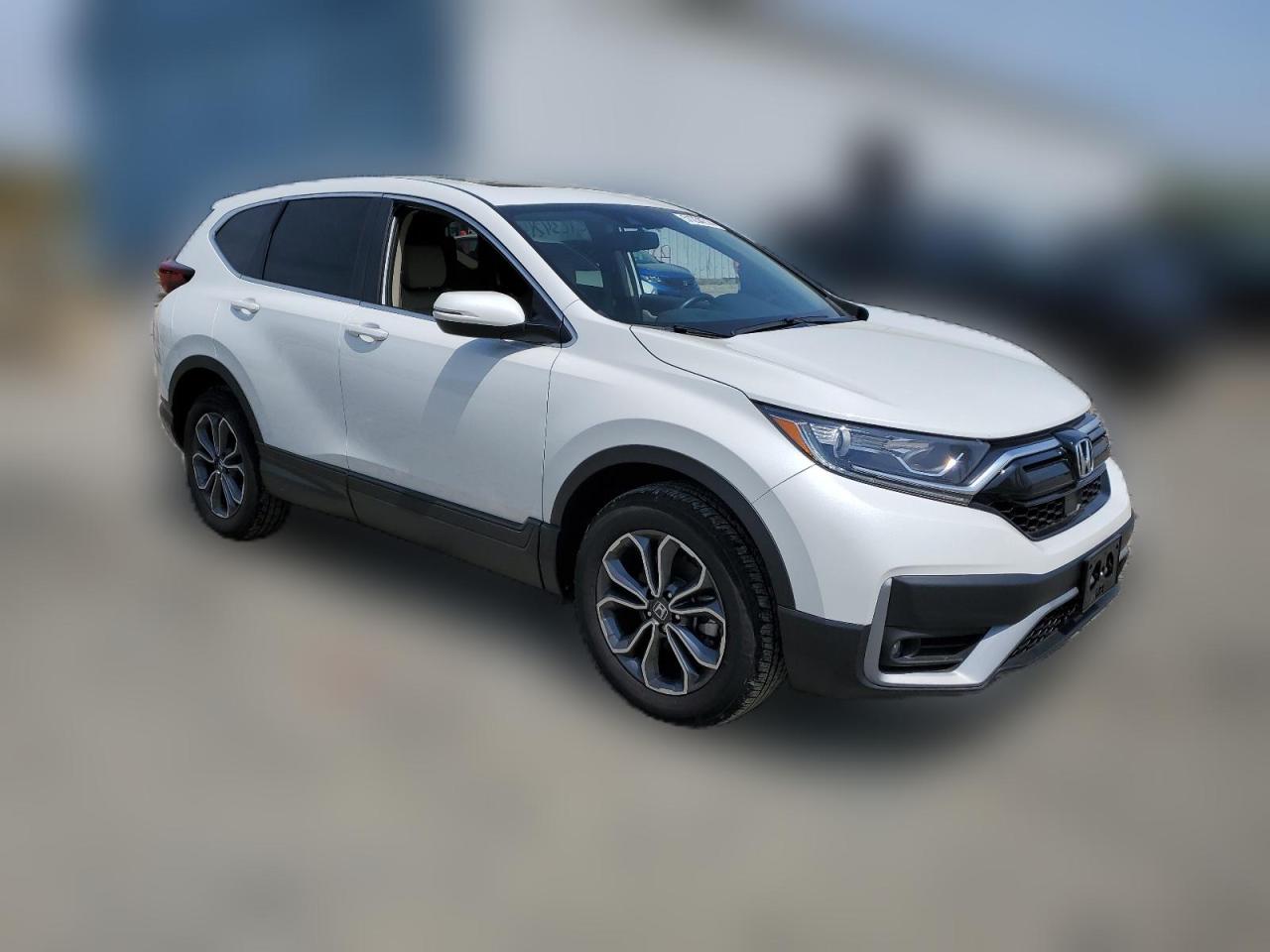 2022 HONDA CR-V EXL VIN:2HKRW2H88NH664651