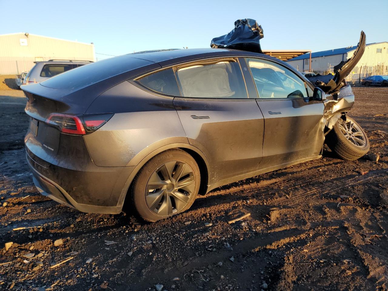 2024 TESLA MODEL Y  VIN:7SAYGDEE4RA319880