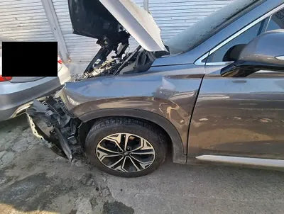 2020 Hyundai Santa FE KMHS381CBLU218951 VIN:KMHS381CBLU218951