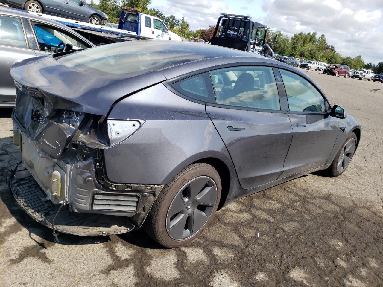 2023 TESLA MODEL 3  VIN:5YJ3E1EB3PF637023