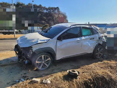 2019 Hyundai Kona KMHK4815GKU400826 VIN:KMHK4815GKU400826