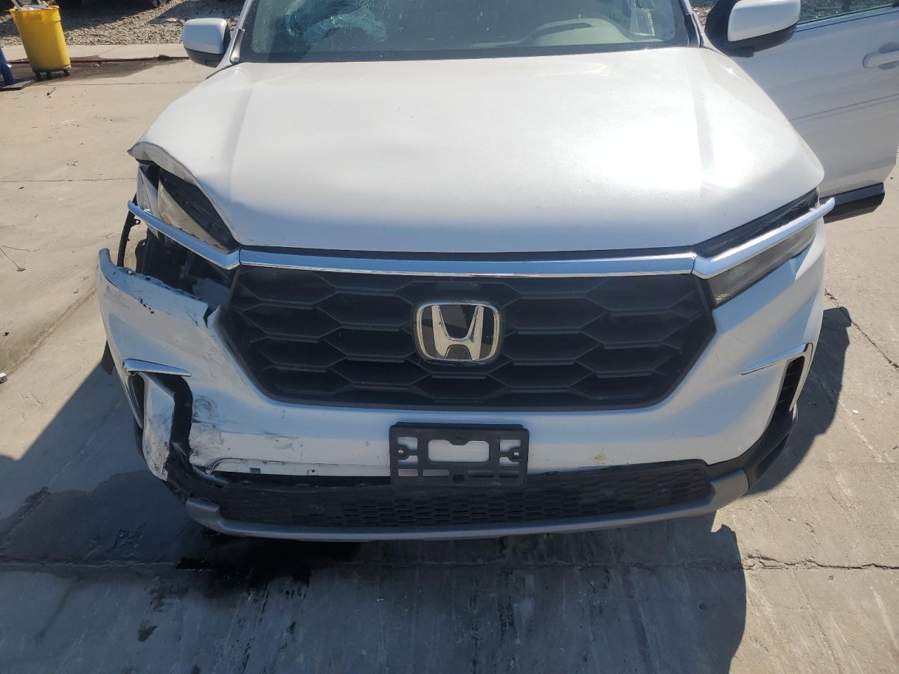 2024 HONDA PILOT EXL VIN:5FNYG2H47RB006734