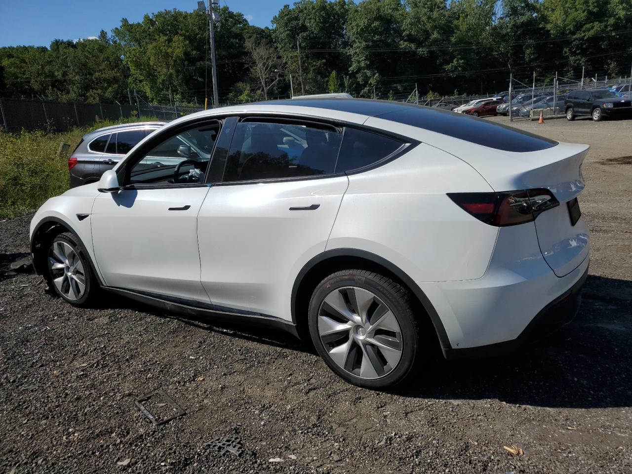 2023 TESLA MODEL Y  VIN:7SAYGDEE0PF695668