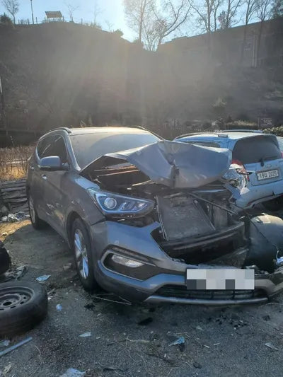 2017 Hyundai Santa FE KMHSW81UBHU765008 VIN:KMHSW81UBHU765008