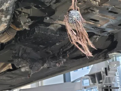 2021 Genesis G80 VIN: