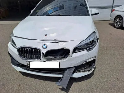 2019 BMW 2 Series Gran Tourer WBA6T910XKVE95396 VIN:WBA6T910XKVE95396