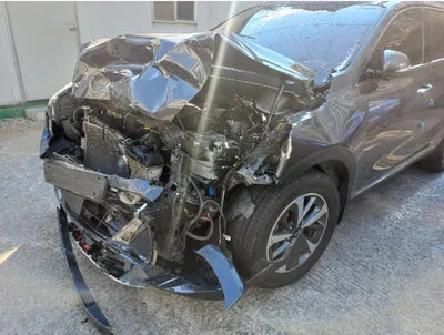 2019 Kia Sorento 667KMKNAPG81ABKA5 VIN:667KMKNAPG81ABKA5