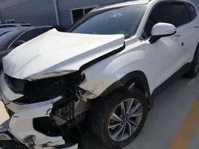 2019 Hyundai Santa FE KMHS281BBKU074285 VIN:KMHS281BBKU074285