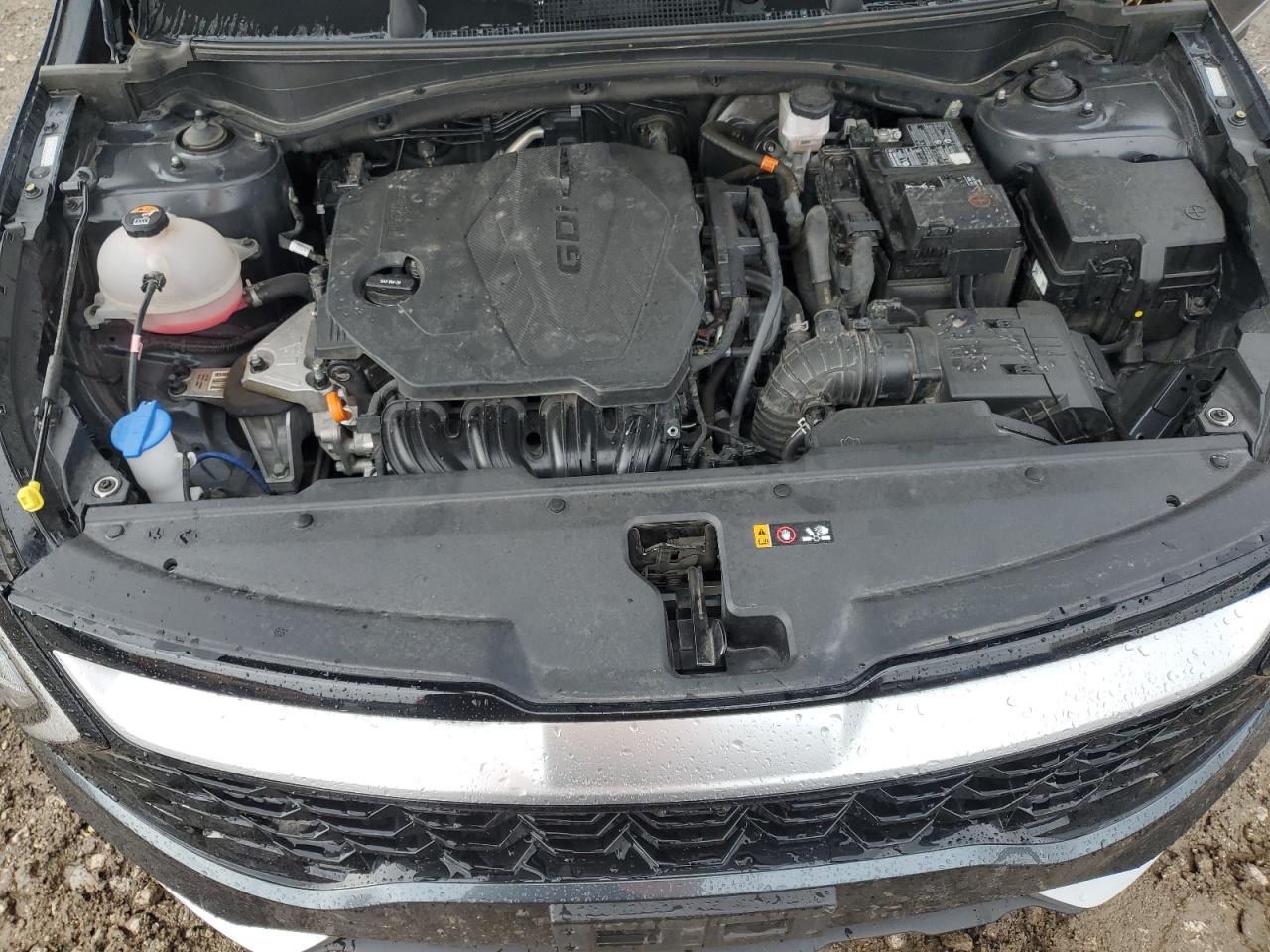 2023 KIA SPORTAGE EX VIN:5XYK33AF1PG032111