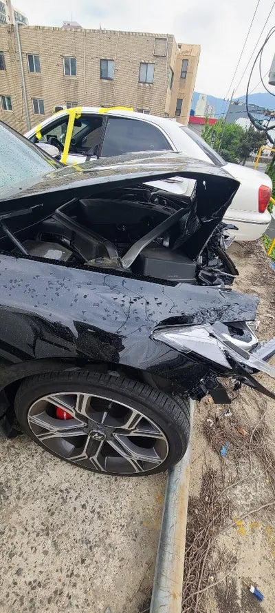 2020 Kia Stinger KNAE351ABLS079865 VIN:KNAE351ABLS079865