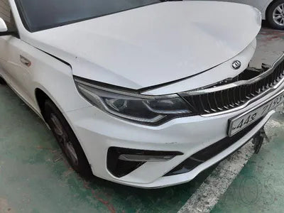 2019 Kia K5 KNAGS416BKA287619 VIN:KNAGS416BKA287619