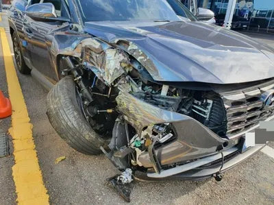 2021 Hyundai Tucson KMHJC81BGMU009847 VIN:KMHJC81BGMU009847
