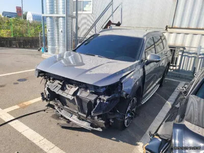 2019 Hyundai Santa FE KMHS381BBKU087945 VIN:KMHS381BBKU087945