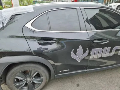 2020 Lexus UX 250 JTHP6JBH2L2072895 VIN:JTHP6JBH2L2072895