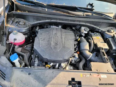 2021 Kia Sorento KNARM81BHMA053439 VIN:KNARM81BHMA053439