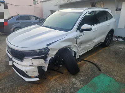 2023 Kia Sorento KNARH81GBPA214993 VIN:KNARH81GBPA214993