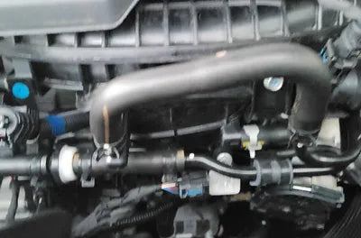 2022 Kia Sorento KNARF81FGNA161865 VIN:KNARF81FGNA161865