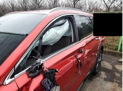 2020 Hyundai Santa FE KMHS381BBLU207243 VIN:KMHS381BBLU207243