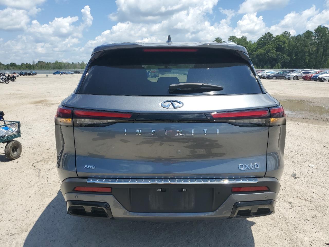 2023 INFINITI QX60 LUXE VIN:5N1DL1FS1PC361586