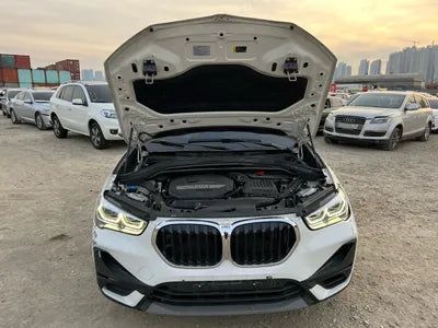 2020 BMW X1 WBA11DG05L5S00052 VIN:WBA11DG05L5S00052