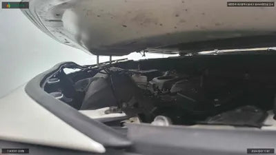 2020 Toyota RAV4 JTMDWRFV7LD545648 VIN:JTMDWRFV7LD545648