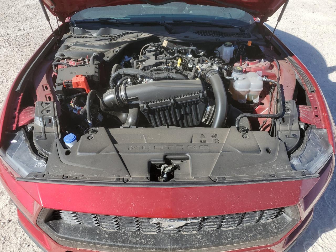 2024 FORD MUSTANG  VIN:1FA6P8TH7R5141837