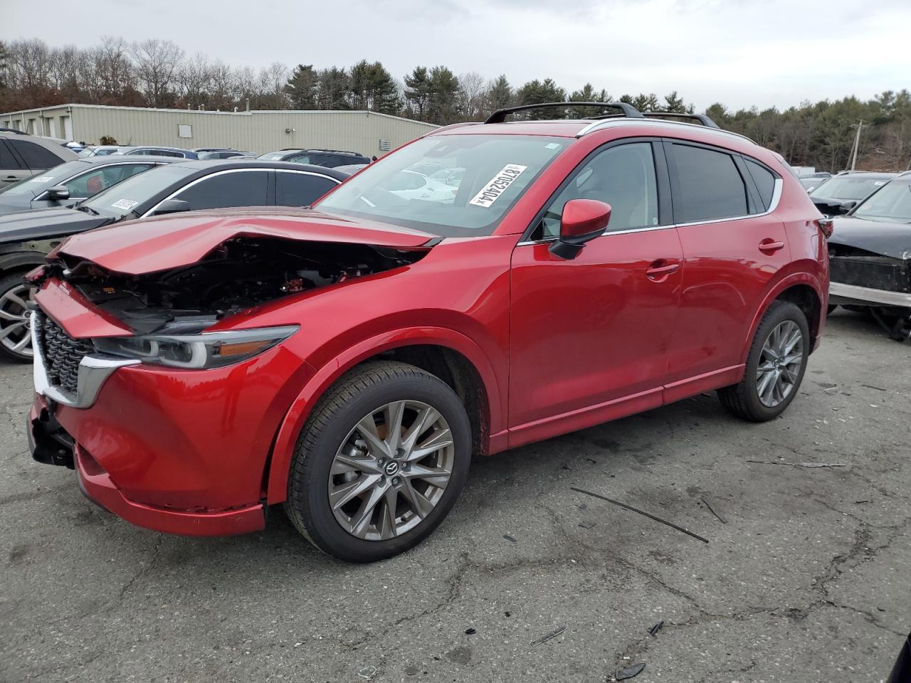 2024 MAZDA CX-5 PREMIUM PLUS VIN:JM3KFBEL8R0524233