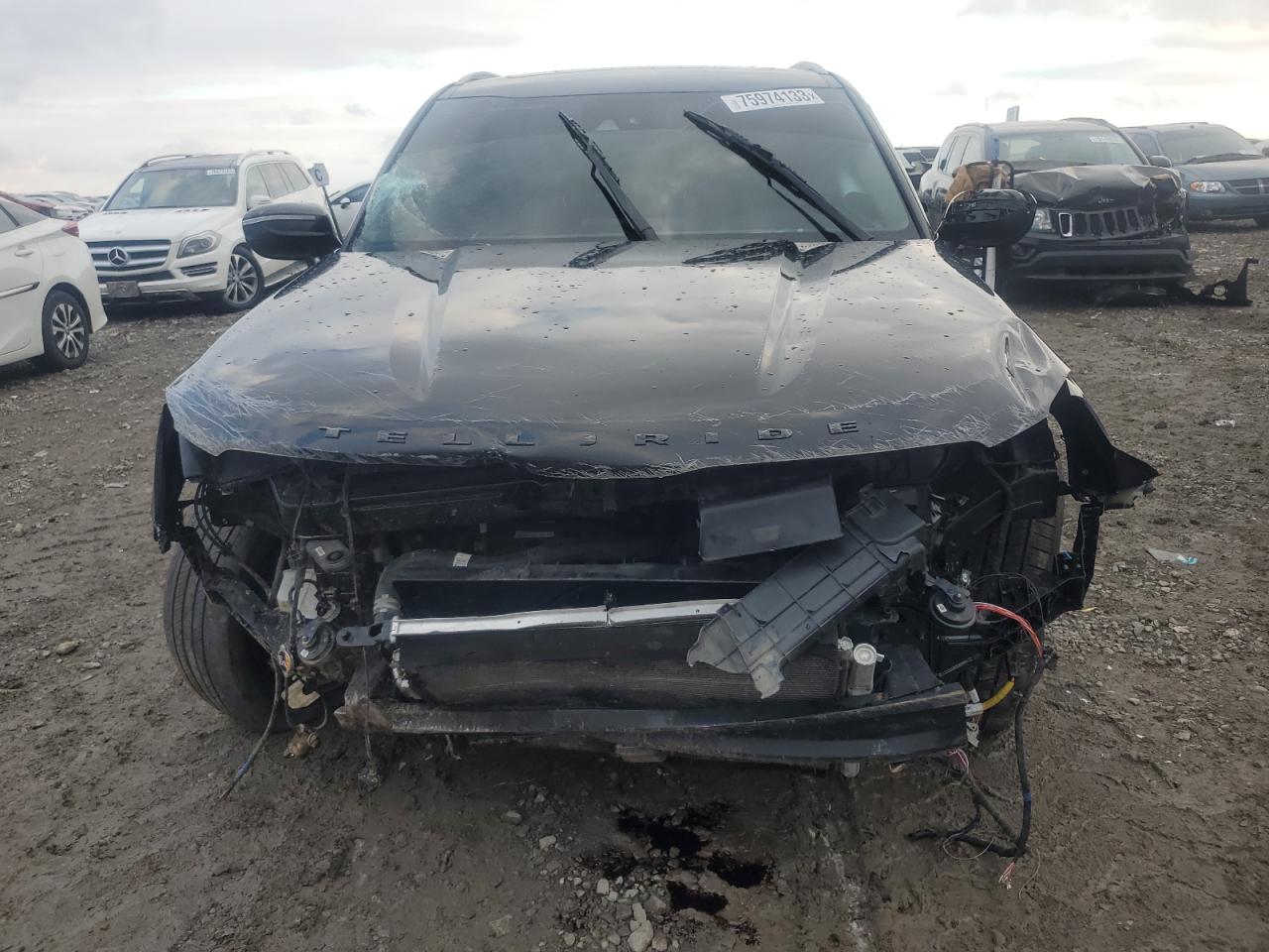 2022 KIA TELLURIDE SX VIN:5XYP5DHC2NG248306
